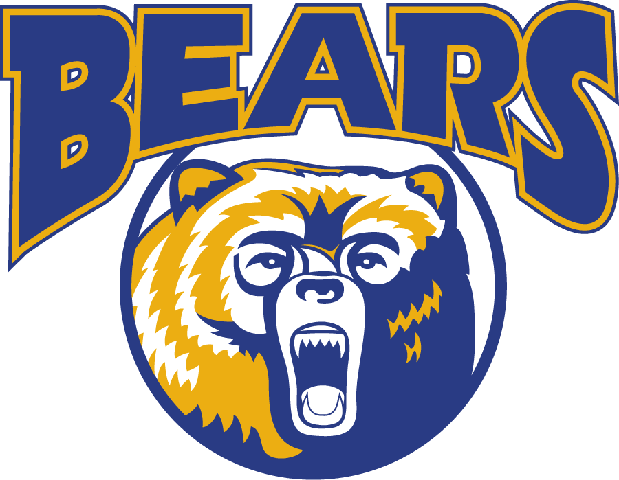 Northern Colorado Bears 1998-2002 Primary Logo diy iron on heat transfer